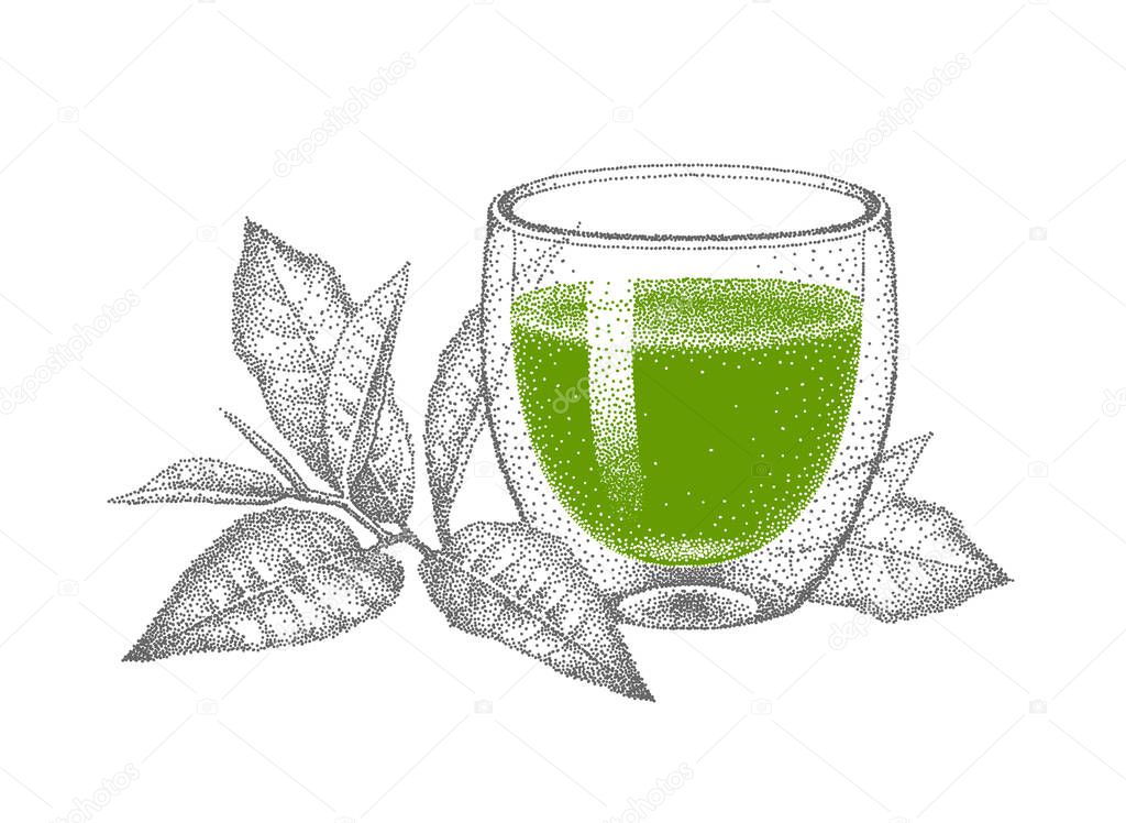 Matcha green tea in glass double wall cup. Leaves of green tea. Illustration in vintage style, pointillism. Hand-drawn engraved vector sketch.