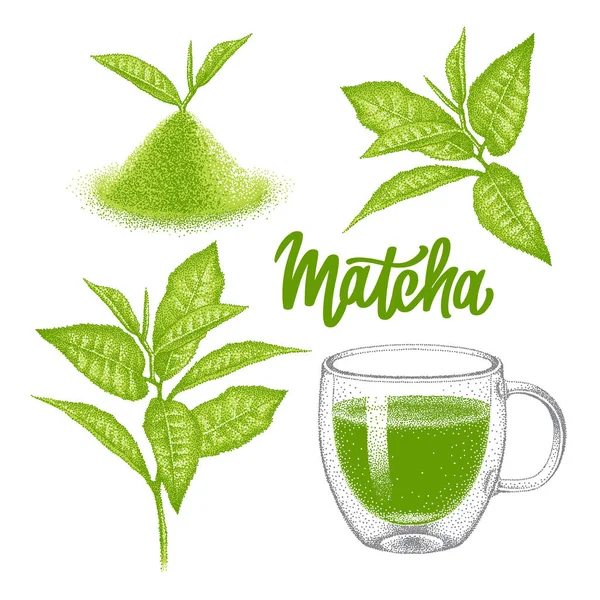 Set of matcha. Green tea in glass double wall cup. Powder and leaves of green tea. Japanese beverage. Sketch in pointillism style. Hand-drawn vector. — Stock Vector