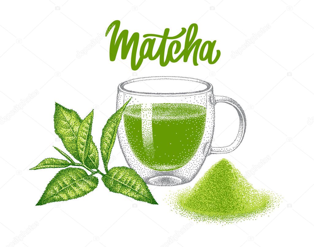 Matcha green tea. Set. Glass double wall cup, powder and leaves of green tea. Japanese beverage. Sketch in pointillism style. Hand-drawn vector.