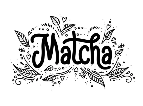 Yapraklı kibrit harf dizaynı, çay ürünü. El çizimi vektör kaligrafisi. Asya Japon içeceği. Marka ve logotype için cesur stil kullanımı.