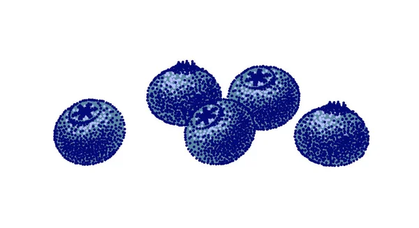 Blueberry Esboço Colorido Ilustração Vetorial Mirtilos Azuis Cinco Bagas Orgânicas — Vetor de Stock