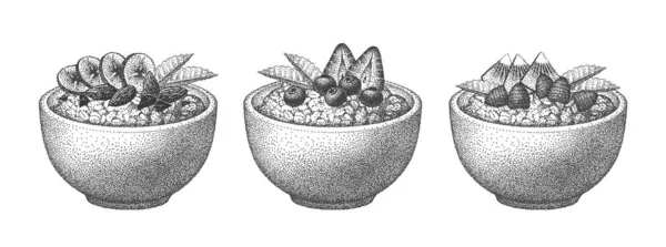 Granola Tazón Frutas Bayas Frutos Secos Con Hojas Menta Avena — Archivo Imágenes Vectoriales