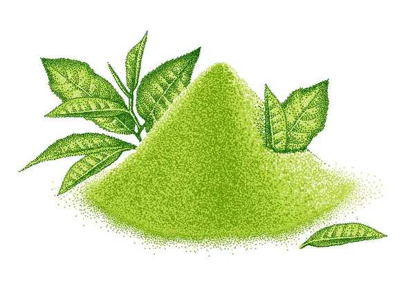 Ensemble Matcha Poudre Feuilles Thé Vert Croquis Réaliste Boisson Japonaise — Image vectorielle