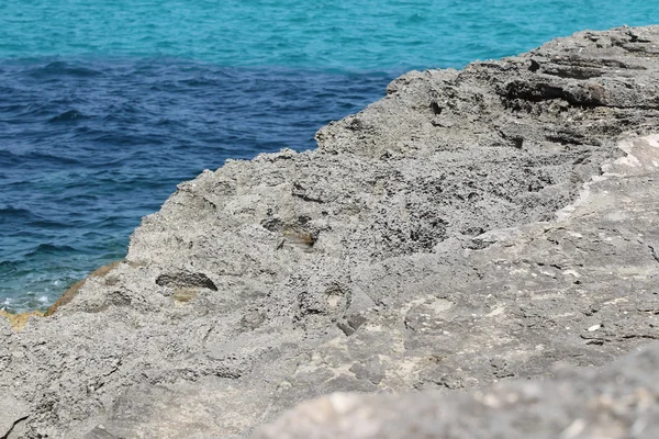 フォルメンテラ島の風景します。 — ストック写真