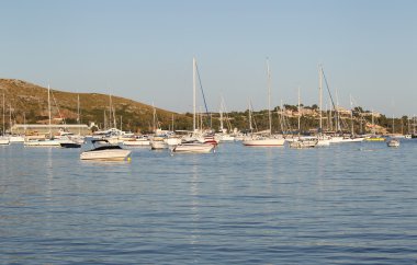 Limanda yatlar