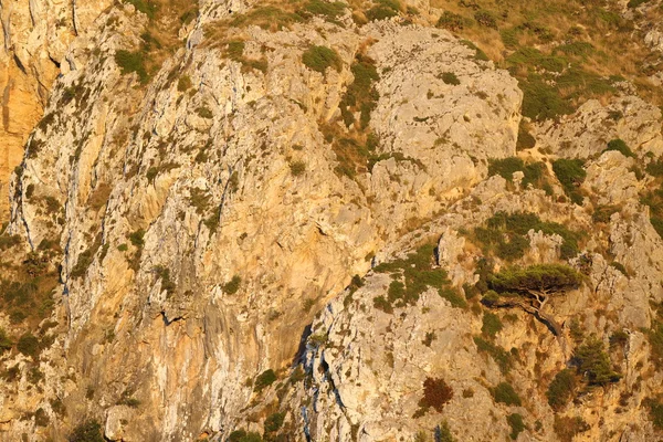 Krajina na ostrově mallorca — Stock fotografie