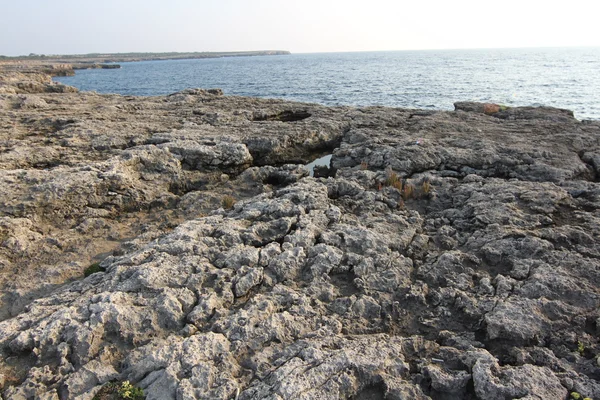 Het landschap op het eiland mallorca — Stockfoto