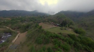 Bambu korusunda uçmak, Botanik Bahçesi, Batumi, Georgia