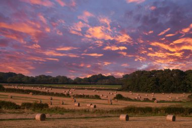 Taze kesilmiş ve balyalanmış saman ruloları gelecek yıl için hazır beslenme ve tohum. Parlak kırmızı gökyüzü ile günbatımı resmi.