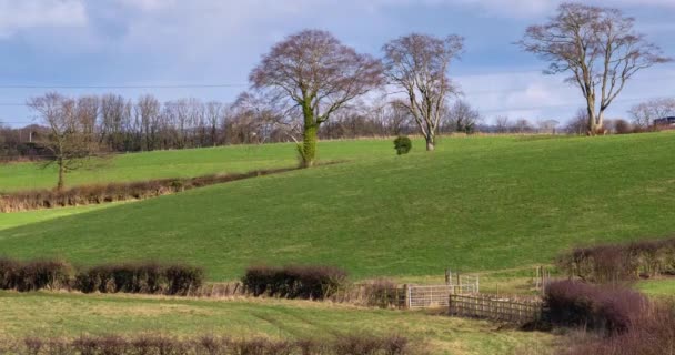 Timelapse Ayrshire Fields Farmlands Scotlandthe Ancient Settlement Known Perceton Situated — Vídeo de stock