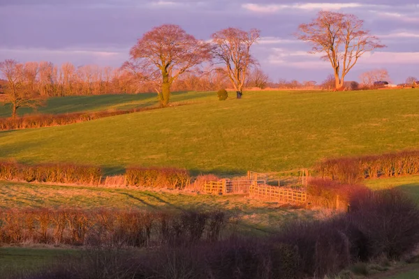 Belles Terres Agricoles Écossaises Avec Des Champs Agricoles Des Portes — Photo