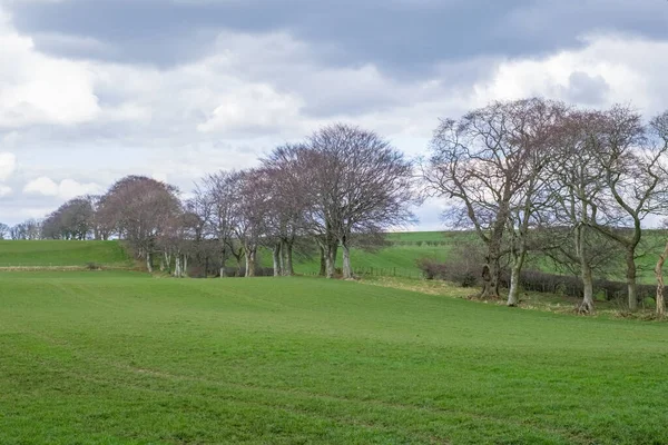 Piękne Szkockie Farmy Ayrshire Sercu Kraju Roberta Burnsa Polami Uprawnymi — Zdjęcie stockowe