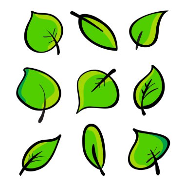 Bir çift yeşil yaprak. Tasarım elementi.