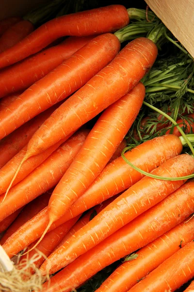 Zanahorias orgánicas en una caja de madera —  Fotos de Stock