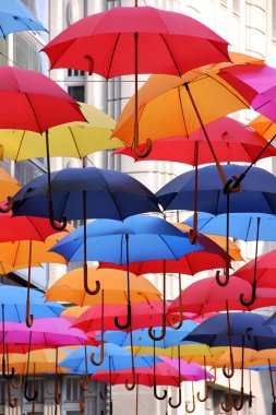 renkli şemsiyeler topluluğu