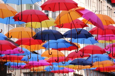 renkli şemsiyeler topluluğu