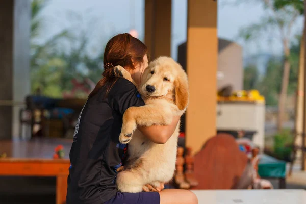 Woman Hold Her Puppy Golden Retriever Love — Stock Photo, Image