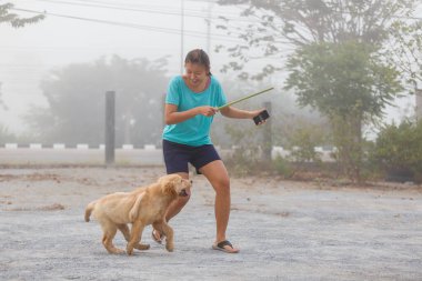 Women's training her puppy golden retriever for catching something back.