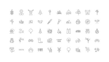 Forest ideas, linear icons, line signs set, vector set