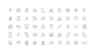 Forest concept illustration, linear icons, line signs set, vector set