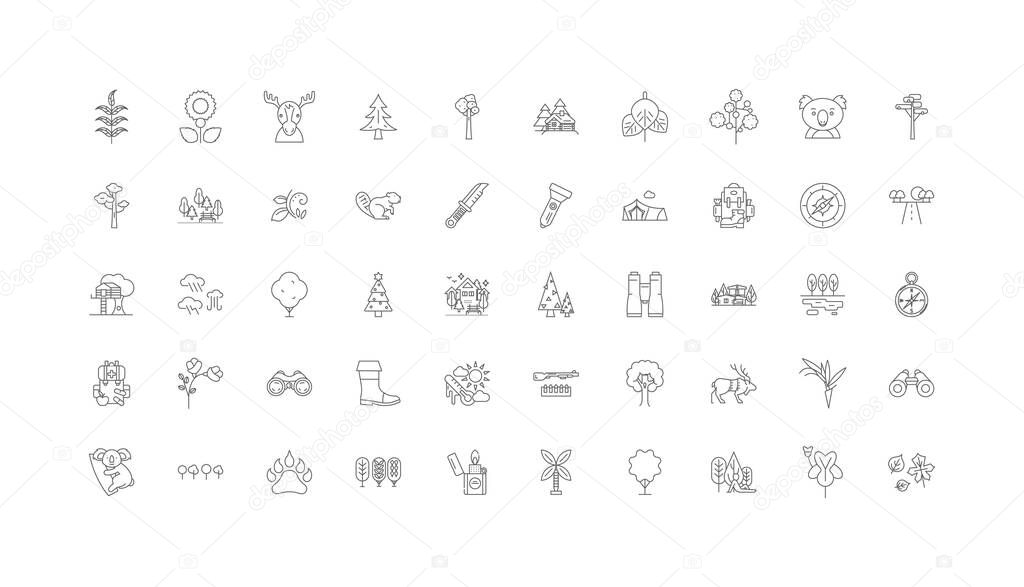 Forest ideas, linear icons, line signs set, vector set