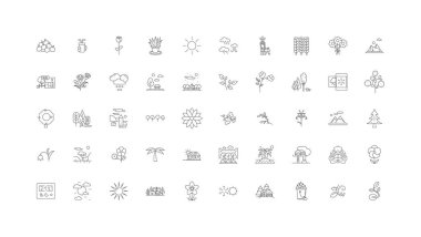 Spring concept illustration, linear icons, line signs set, vector set