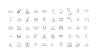 Nature concept illustration, linear icons, line signs set, vector set