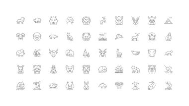 Wild nature ideas, linear icons, line signs set, vector set