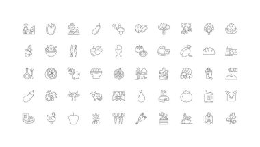 Organic food ideas, linear icons, line signs set, vector set