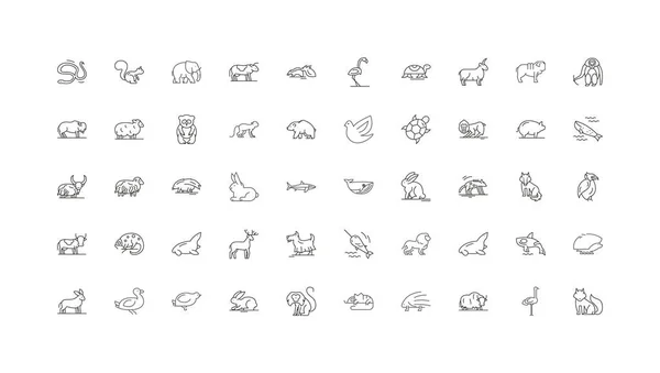 Wildlife Animals Concept Illustration Linear Icons Line Signs Set Vector — Stock Vector