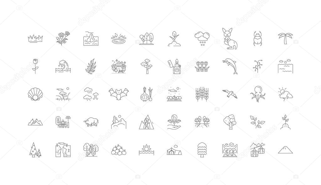 Nature concept illustration, linear icons, line signs set, vector set