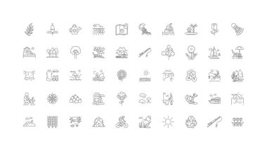 Summer concept illustration, linear icons, line signs set, vector set