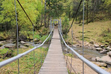 Belokurikha Nehri üzerindeki asma köprü Belokurikha tatil beldesi bölgesinde. Altai bölgesi. Rusya.