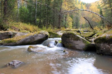 Belokurikha dağının fırtınalı suları. Altai bölgesi. Rusya.