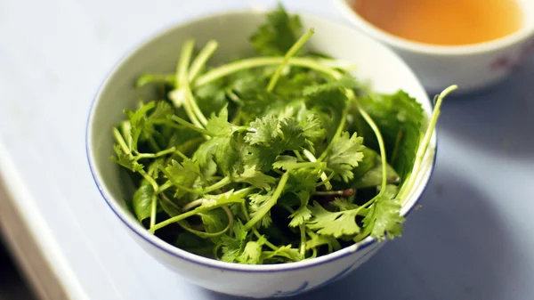 A bowl of coriander cilantro herb — Stock Photo, Image