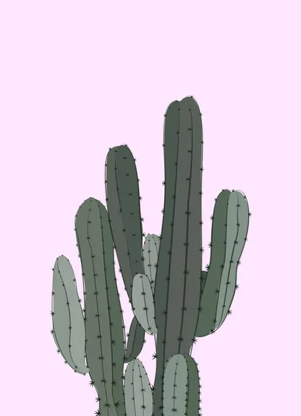 Cactus Épines Rose Fond Vecteur Flore Plate Illustration Illustration Moderne — Image vectorielle