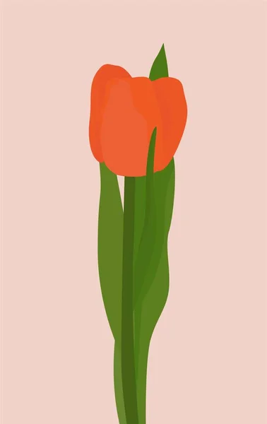 Imagen Plana Vectorial Tulipán Naranja Brillante Con Hojas Verdes Imagen — Vector de stock
