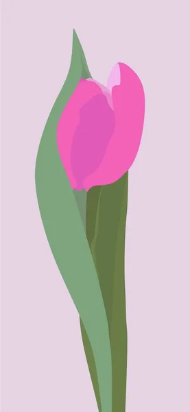 Imagen Plana Vectorial Tulipán Rosa Con Hojas Verdes Imagen Ligera — Vector de stock