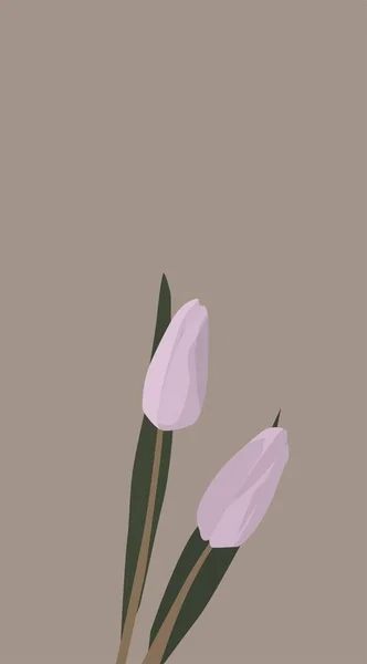 Vektorflaches Bild Einer Pflanze Zwei Hellrosa Tulpen Bild Der Flora Stockillustration