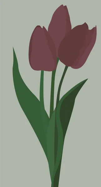 Векторное Плоское Изображение Тюльпанов Букет Трех Цветущих Растений Красивый Букет — стоковый вектор