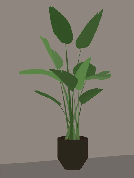 화분에 식물의 이미지 어두운 냄비에 플랜트 디자인 포스터 템플릿 — 스톡 벡터