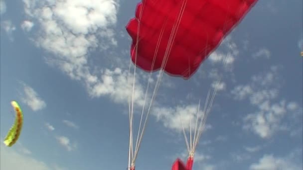 Parachutespringen video. — Stockvideo