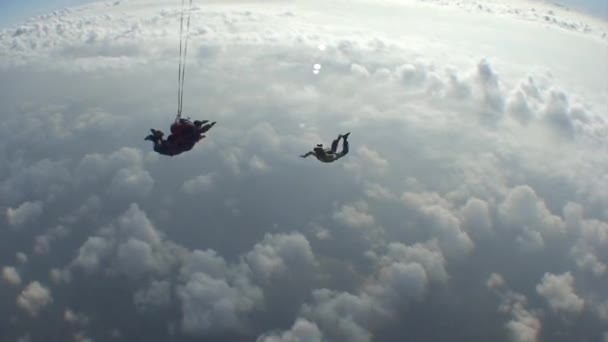 Skydiving video — Stock Video