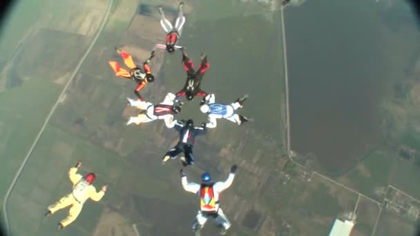 Skydiving videa. — Stock video