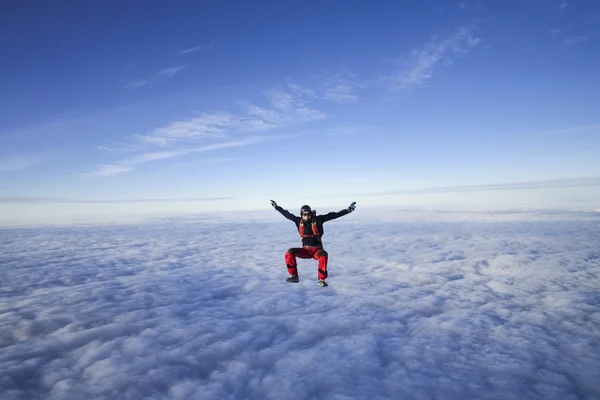 Skydiver in freefall — Stock Photo, Image