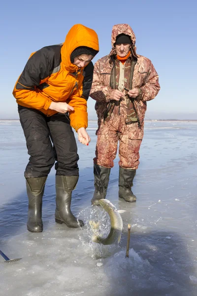 Pesca no gelo. — Fotografia de Stock