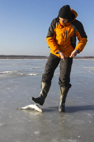Ice Fishing. Royalty Free Stock Images