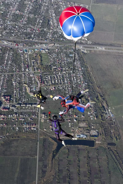 Skydiving fotoğraf. Tandem. Stok Fotoğraf