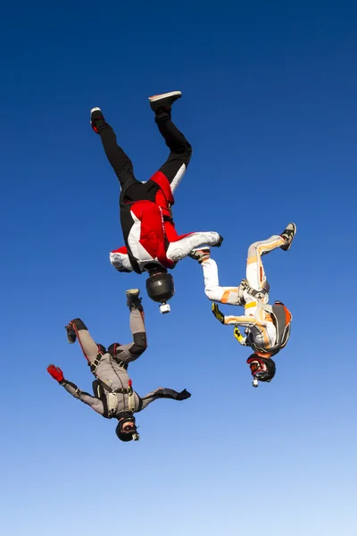 Skydiving fotoğraf. Stok Fotoğraf
