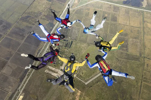 Skydivers em queda livre — Fotografia de Stock